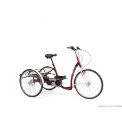 LAGOON Rower rehabilitacyjny trójkołowy dla dorosłych